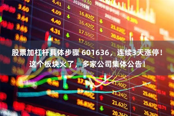 股票加杠杆具体步骤 601636，连续3天涨停！这个板块火了，多家公司集体公告！